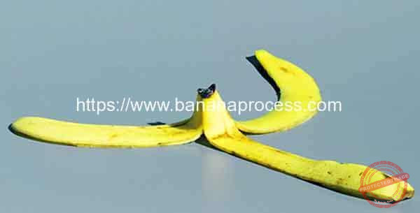 What-Use-of-Banana-Peel-2020